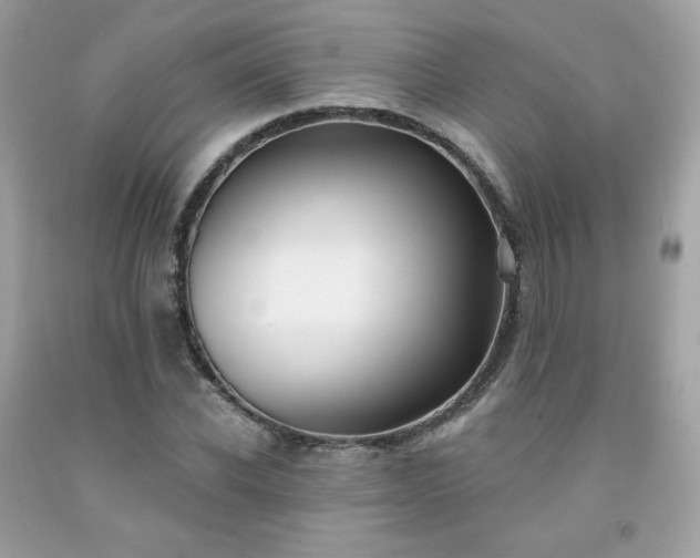 X0000091930926200709121556