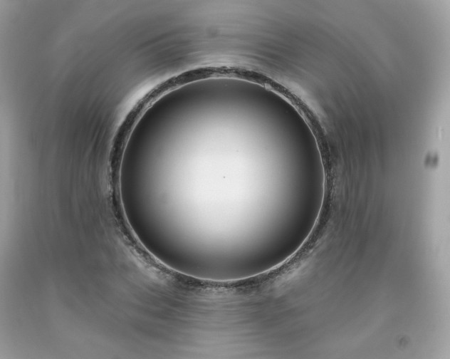 X0000091930927200709121556