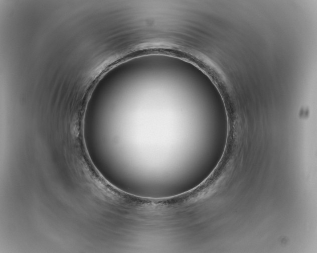 X0000091930929200709121556
