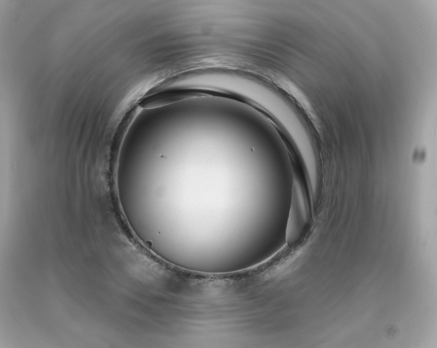 X0000091930930200709121556