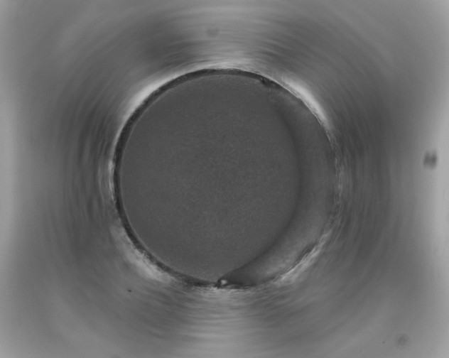 X0000091930932200709121556