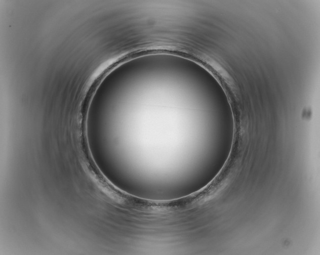X0000091930933200709121556
