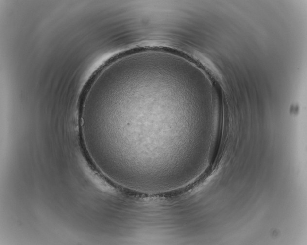 X0000091930934200709121556