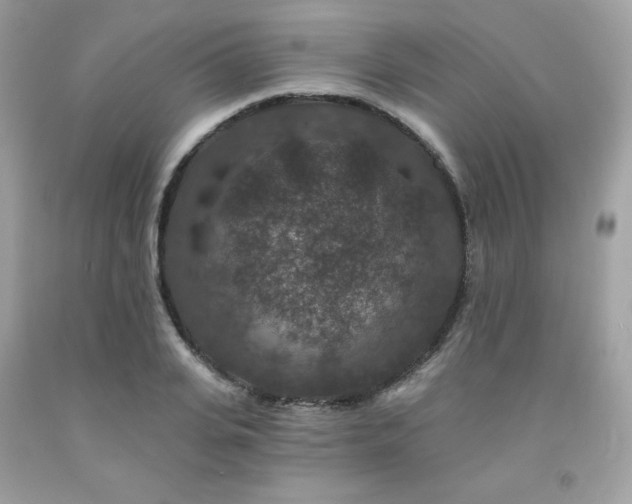 X0000091930935200709121556