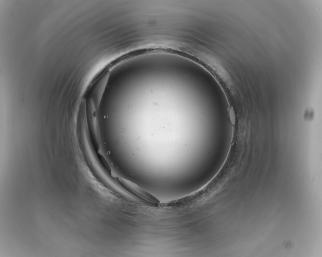 X0000091930936200709121556
