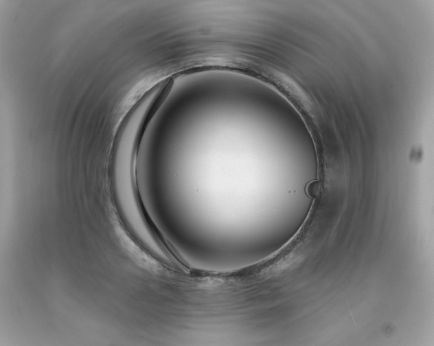 X0000091930938200709121556