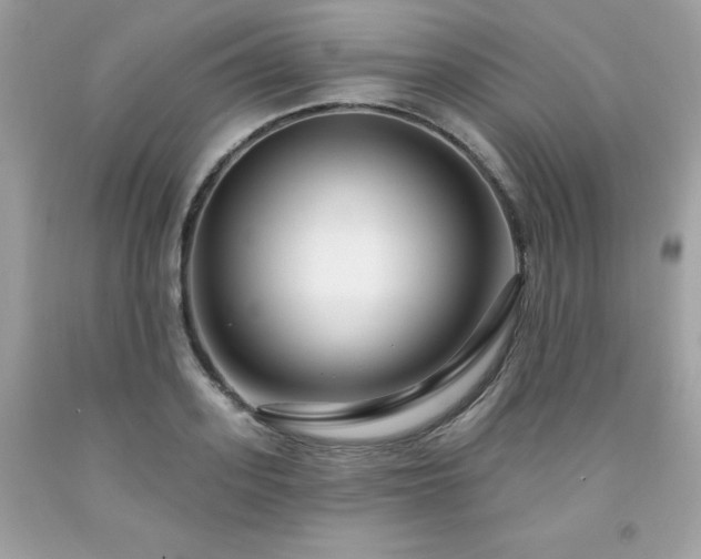 X0000091930939200709121556