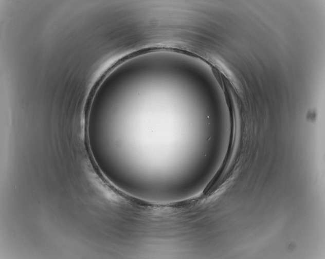 X0000091930940200709121556