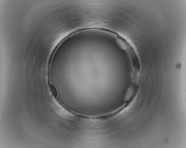 X0000091930941200709121556