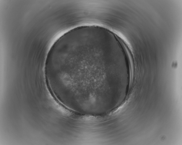 X0000091930943200709121556