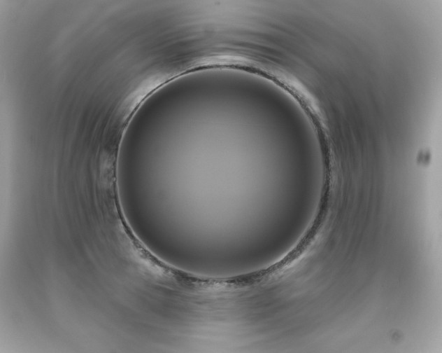 X0000091930945200709121556