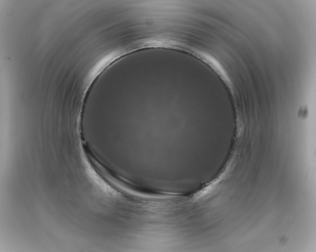 X0000091930946200709121556