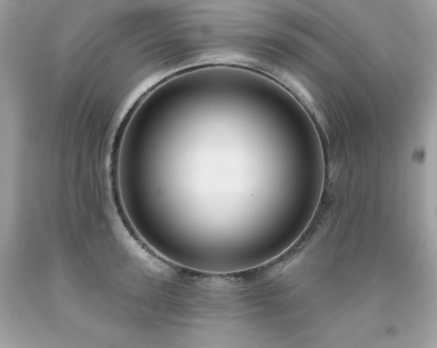 X0000091930947200709121556