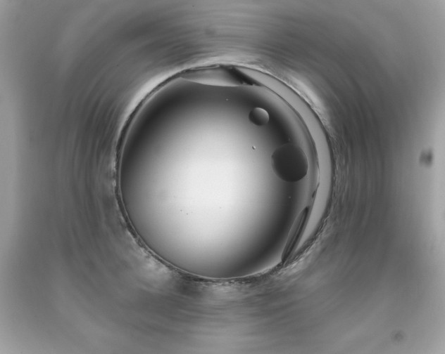 X0000091930948200709121556