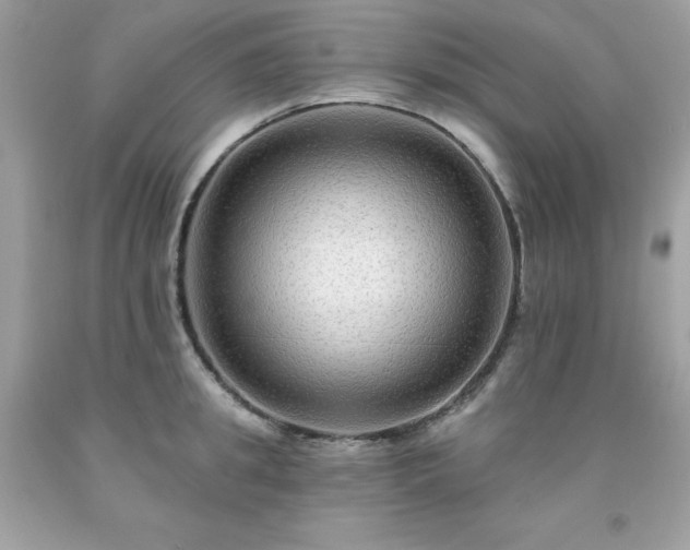 X0000091930949200709121556