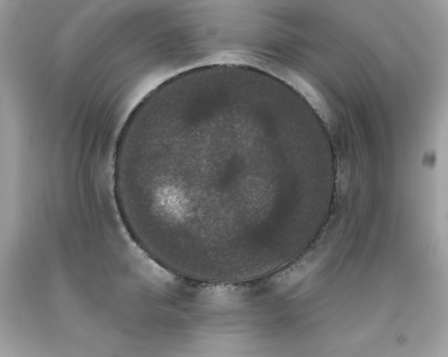 X0000091930950200709121556