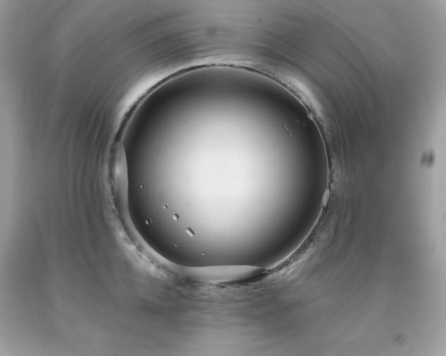 X0000091930952200709121556
