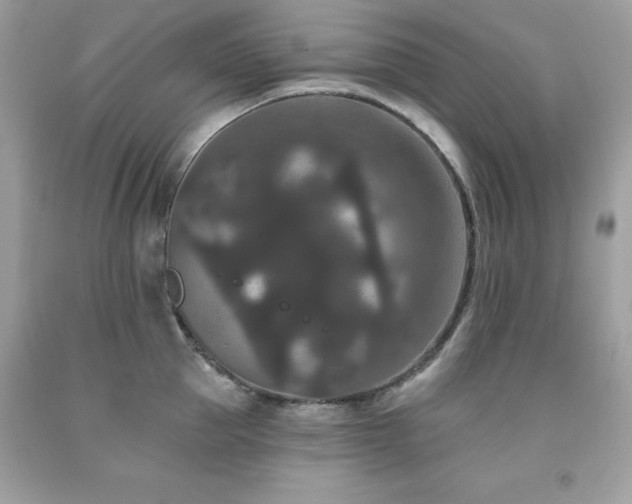 X0000091930953200709121556