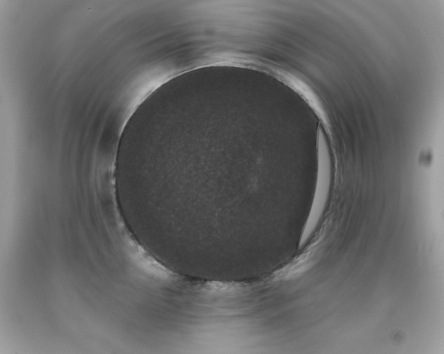 X0000091930954200709121556