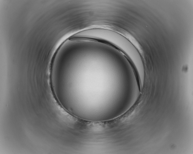X0000091930955200709121556