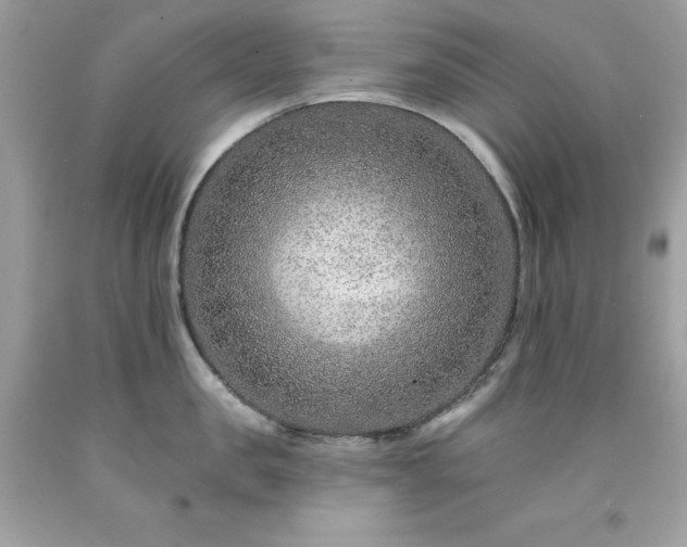 X0000091930957200709121556