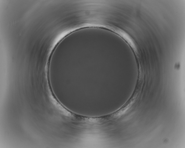 X0000091930958200709121556