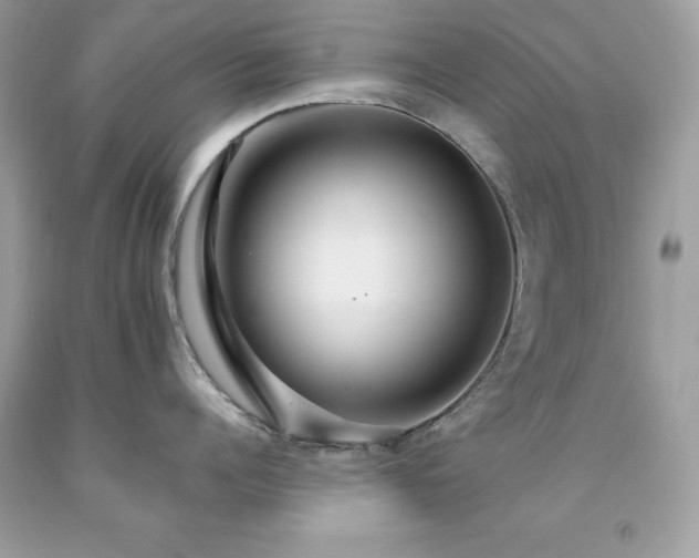 X0000091930960200709121556