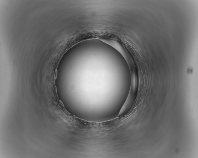X0000091930961200709121556