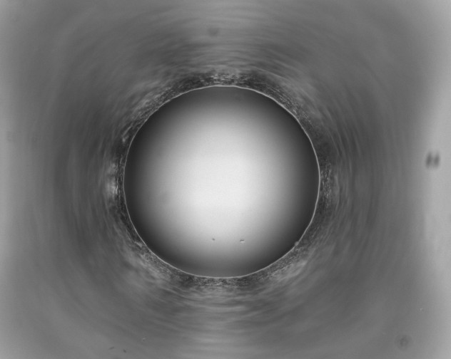 X0000091930962200709121556