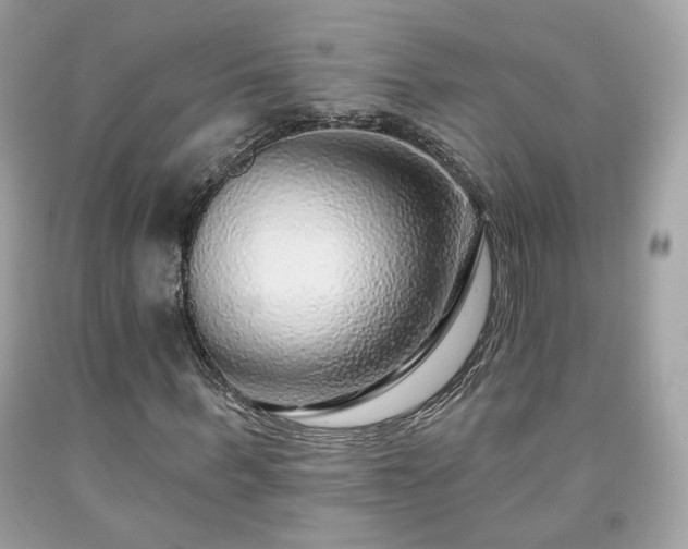 X0000091930963200709121555