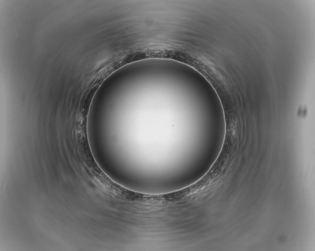 X0000091930964200709121555