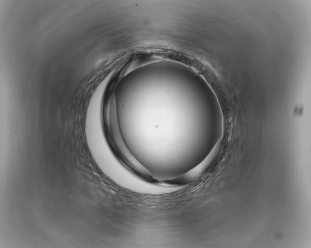 X0000091930965200709121555