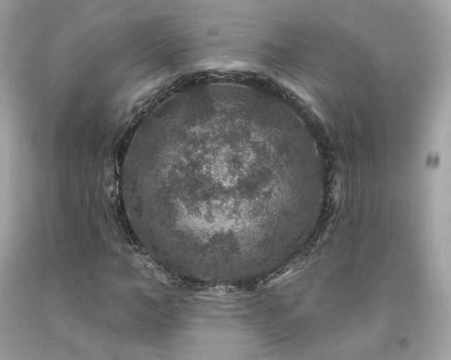 X0000091930966200709121555