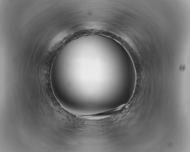 X0000091930967200709121555