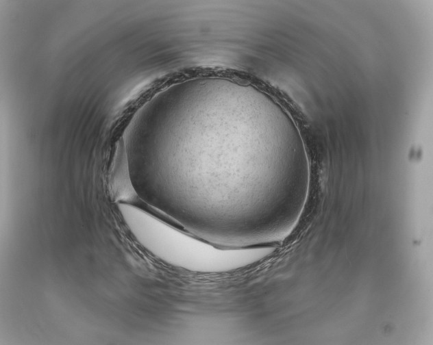 X0000091930968200709121555