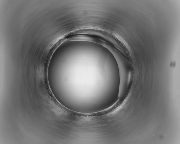 X0000091930969200709121555