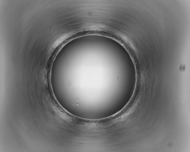X0000091930970200709121555