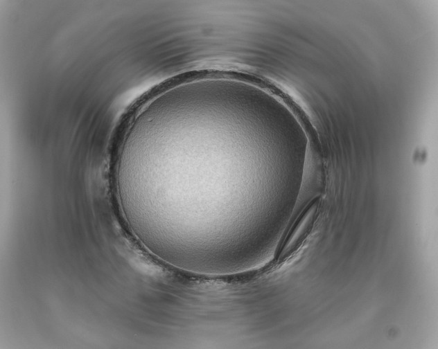 X0000091930971200709121555