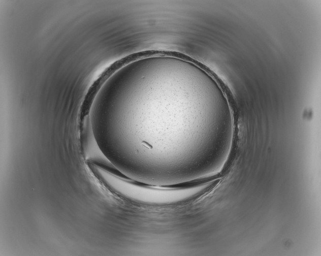 X0000091930972200709121555
