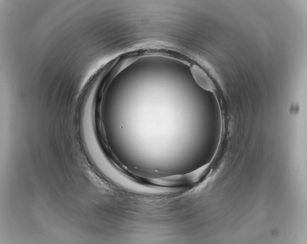X0000091930973200709121555