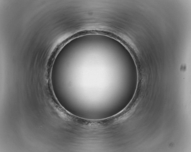 X0000091930974200709121555