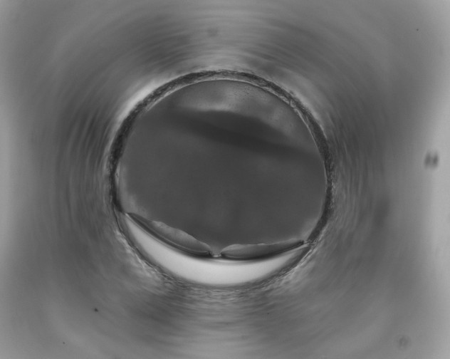 X0000091930975200709121555