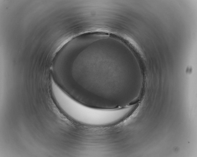 X0000091930977200709121555