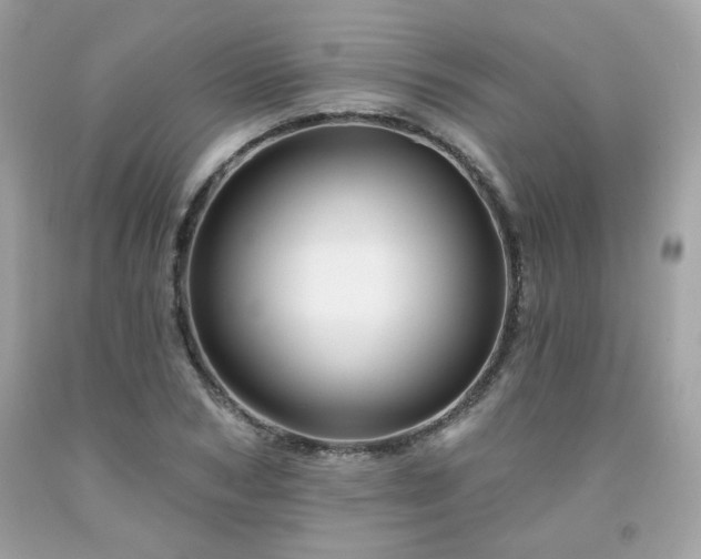 X0000091930978200709121555