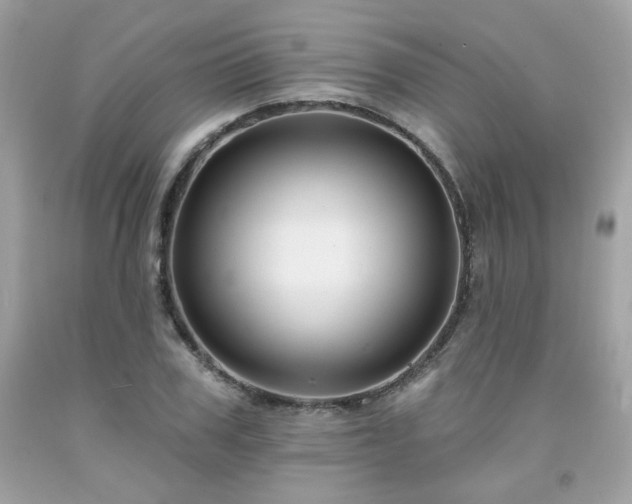 X0000091930979200709121555