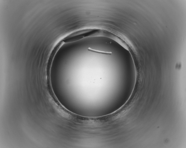 X0000091930980200709121555