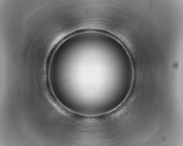 X0000091930982200709121555