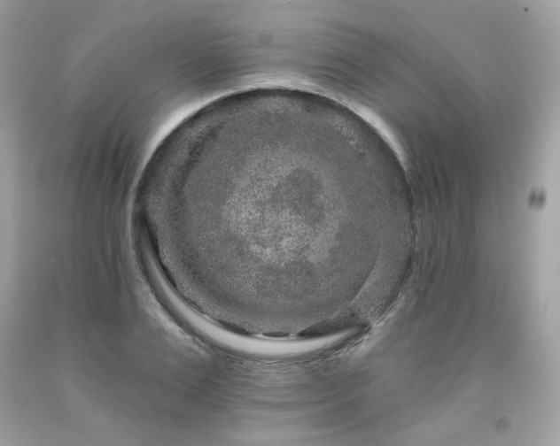 X0000091930983200709121555