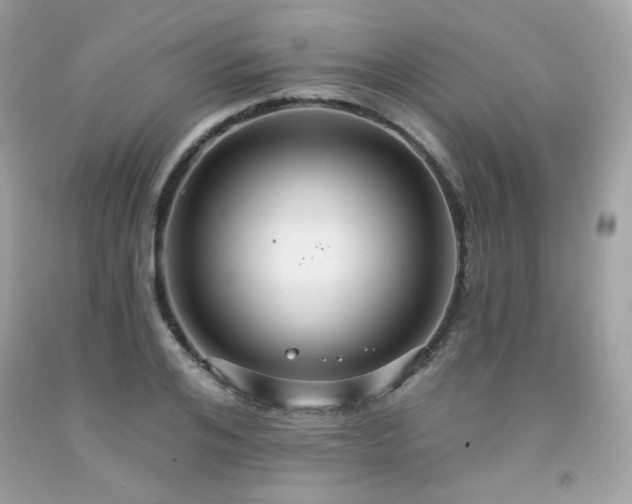 X0000091930984200709121555