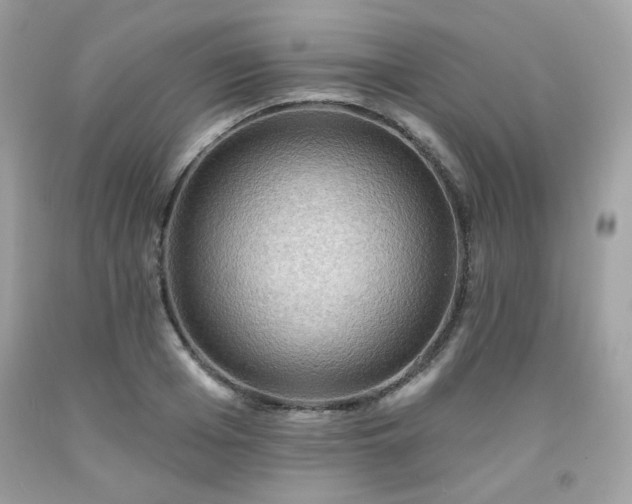 X0000091930985200709121555